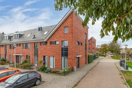 undefined main image