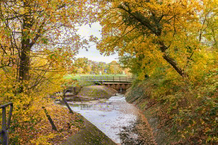 Foto 54 van Bruggertstraat 311