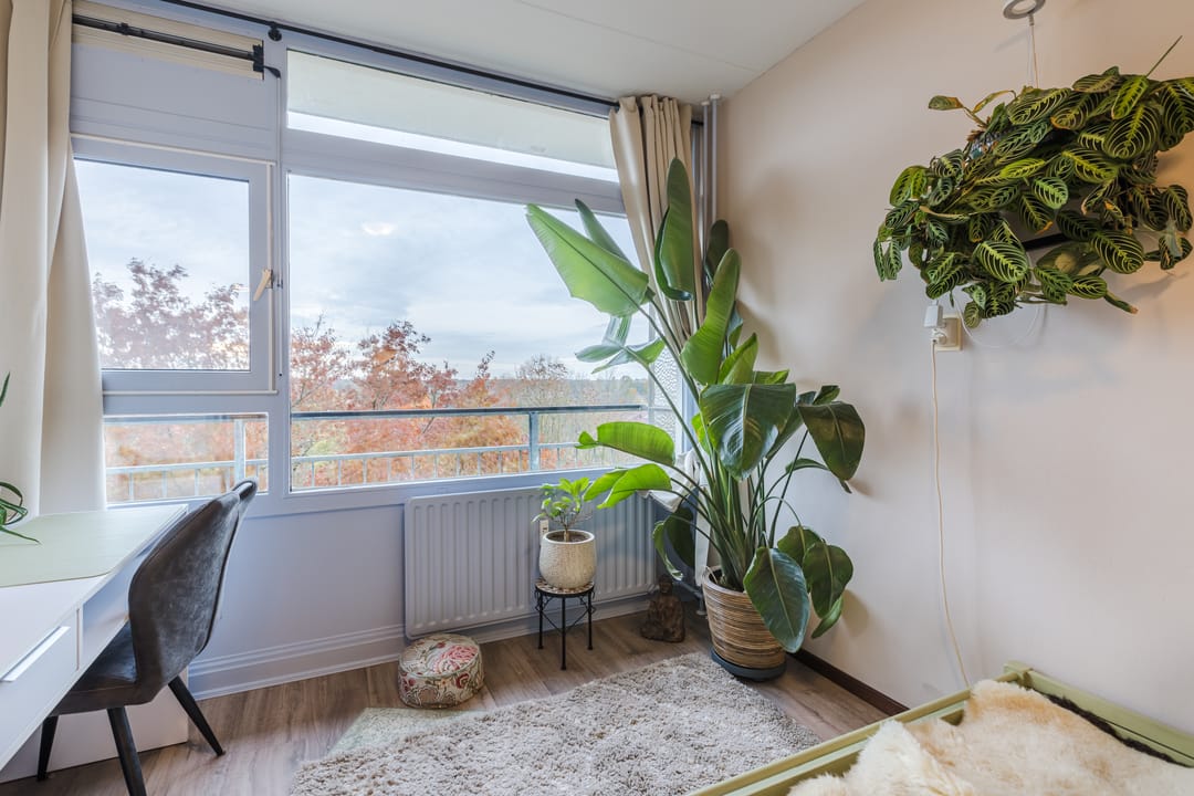 Foto 13 van Haverweerd 135