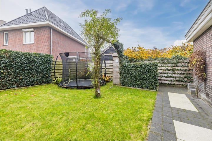 Foto 46 van Biggekruid 12