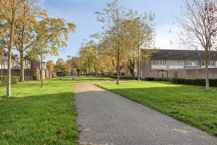 Photo 43 of Vierde Hambaken 2