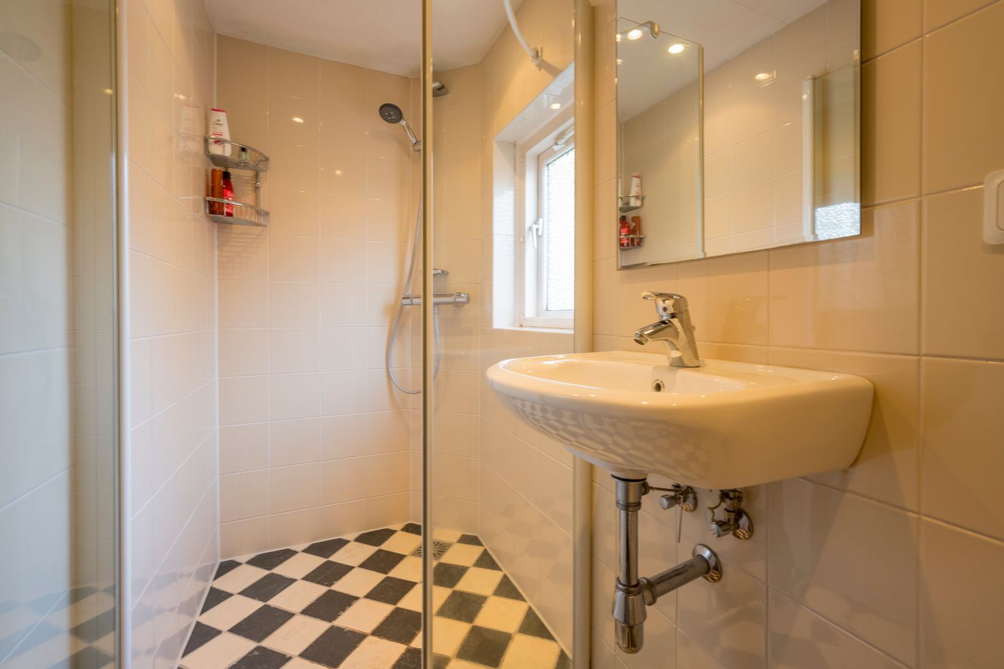 Foto 25 van Berkenlaan 12