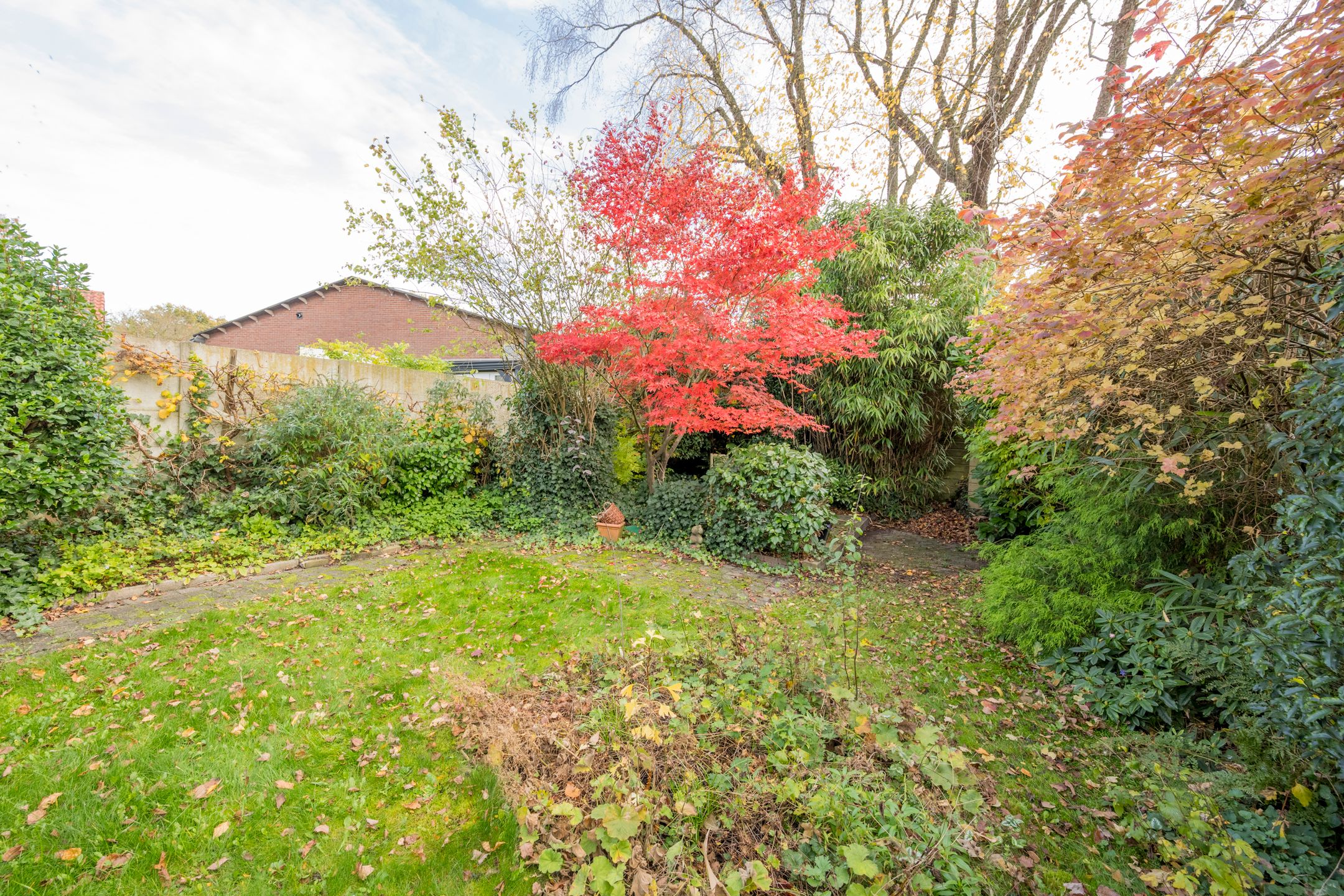 Foto 36 van Berkenlaan 12