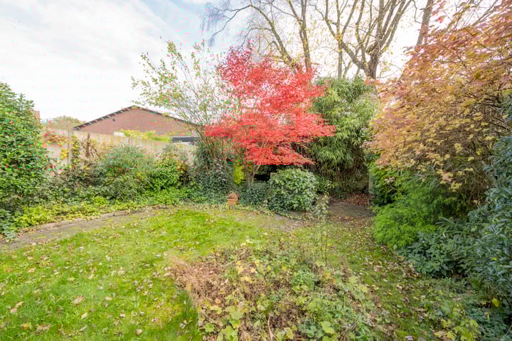 Foto 36 van Berkenlaan 12