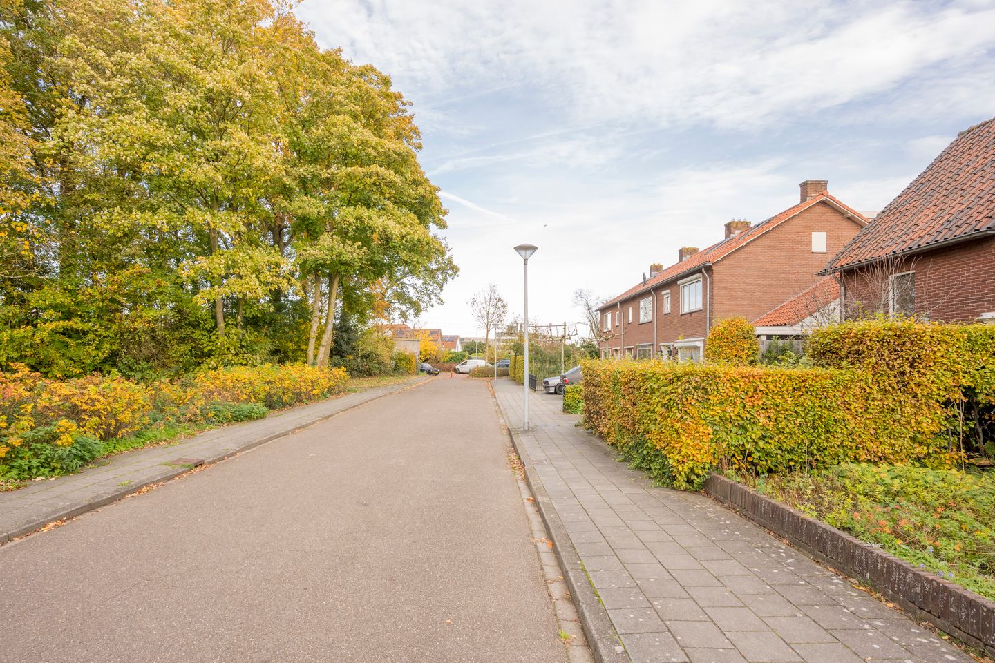 Foto 44 van Berkenlaan 12