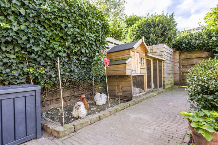 Foto 39 van Wilgenhof 25