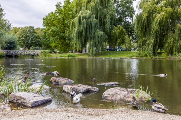 Foto 47 van Wilgenhof 25