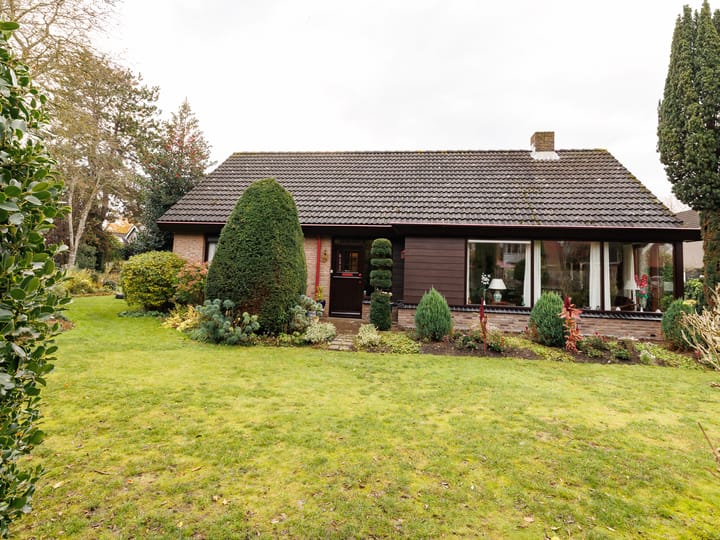 Foto 1 van Punter 25 23