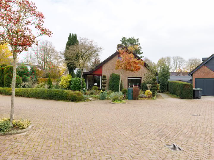 Foto 5 van Punter 25 23