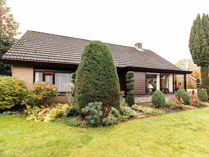 Foto 38 van Punter 25 23