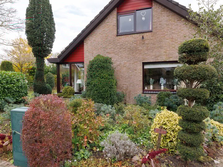 Foto 6 van Punter 25 23