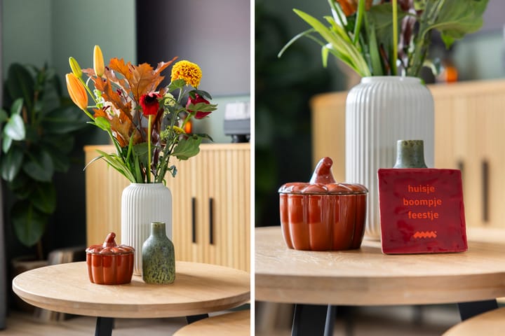 Foto 2 van Reigerstraat 130