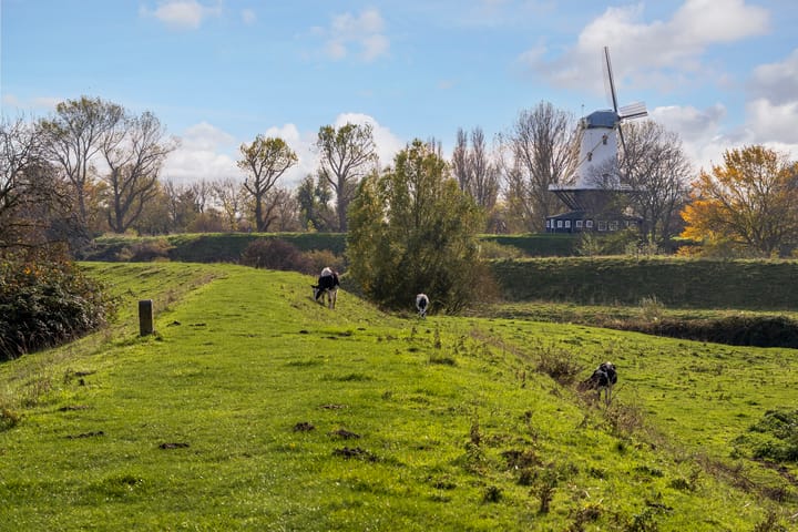 Photo 38 of Zwanenlaan 6