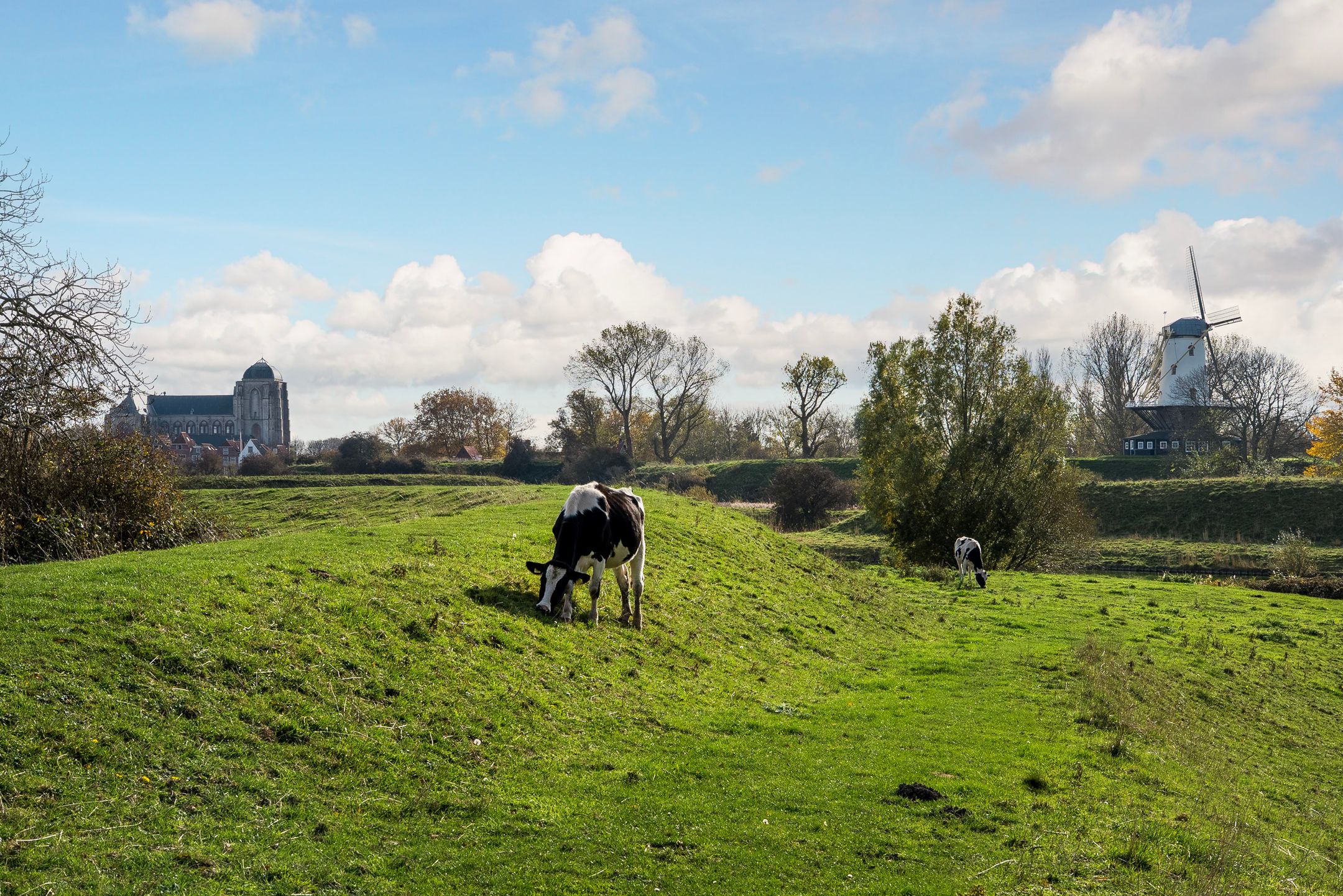 Foto 39 van Zwanenlaan 6