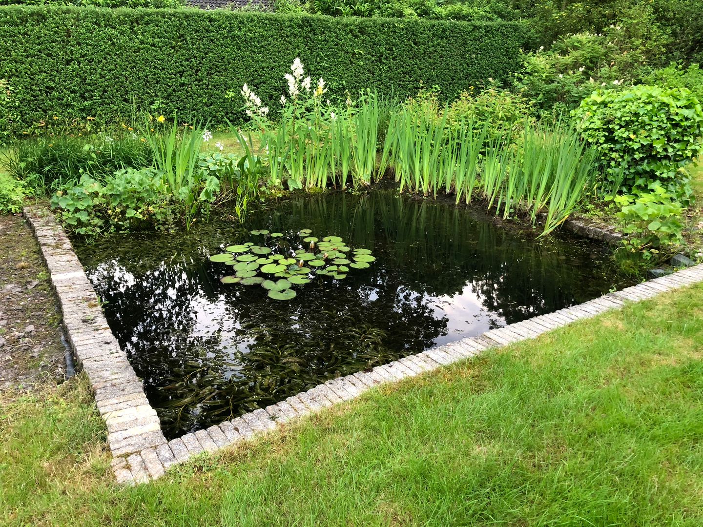 Foto 40 van Zwanenlaan 6