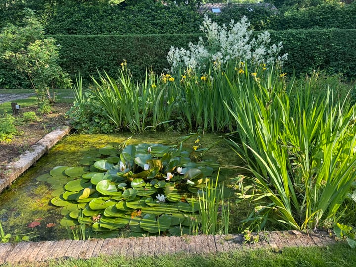 Photo 41 of Zwanenlaan 6