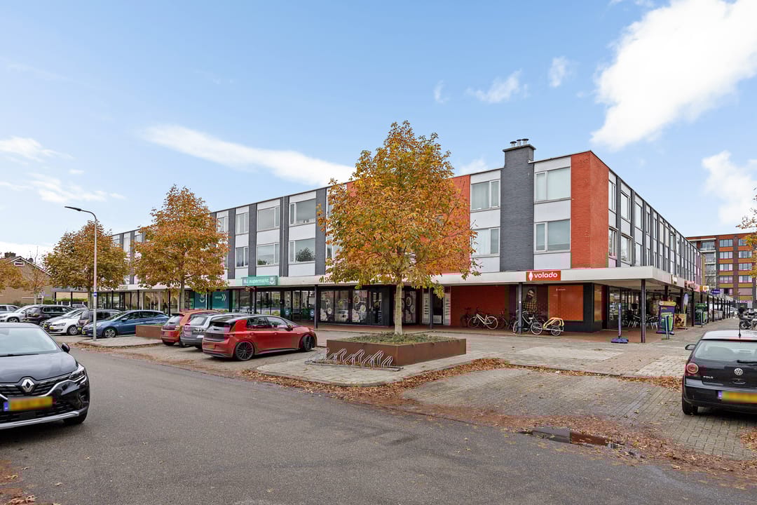 Foto 1 van Nicolaas Maesstraat 69