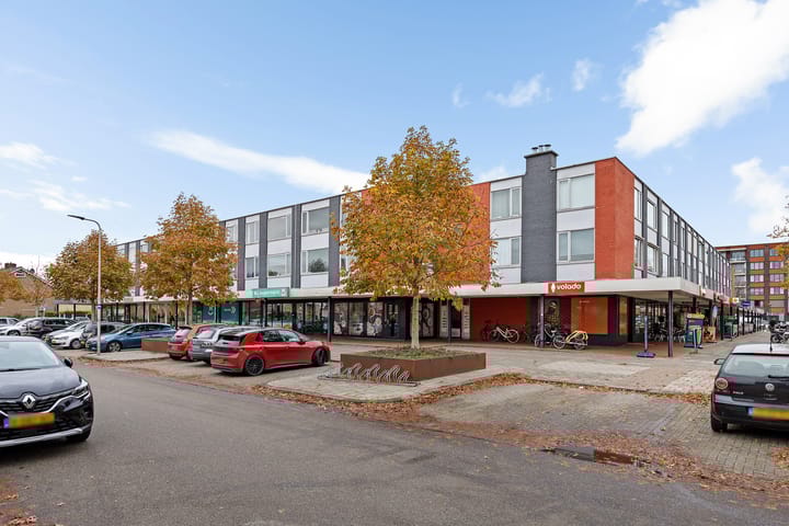 Foto 1 van Nicolaas Maesstraat 69