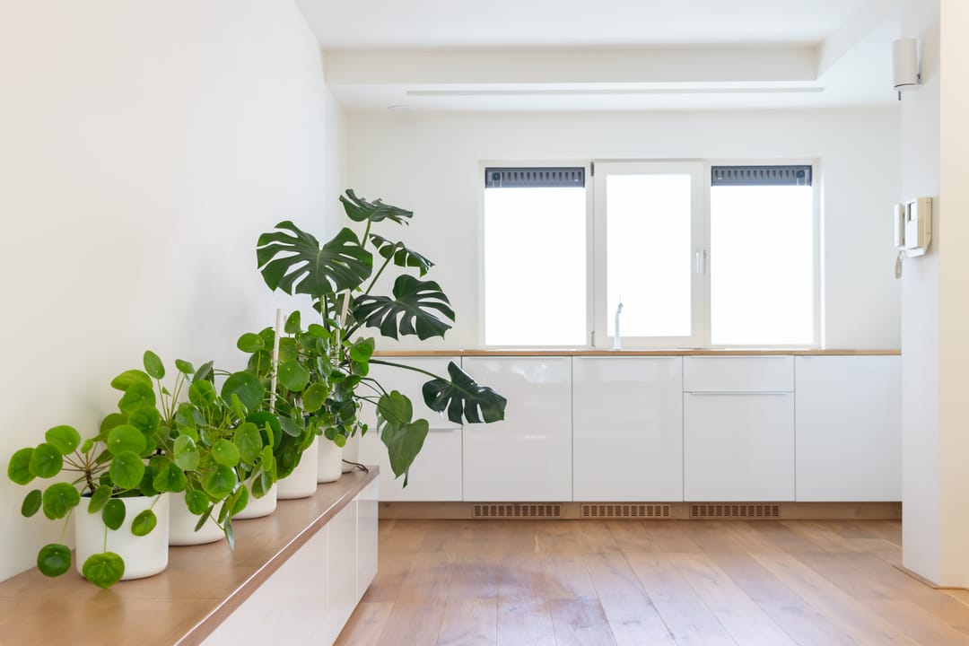 Foto 11 van Teilingerstraat 51-K