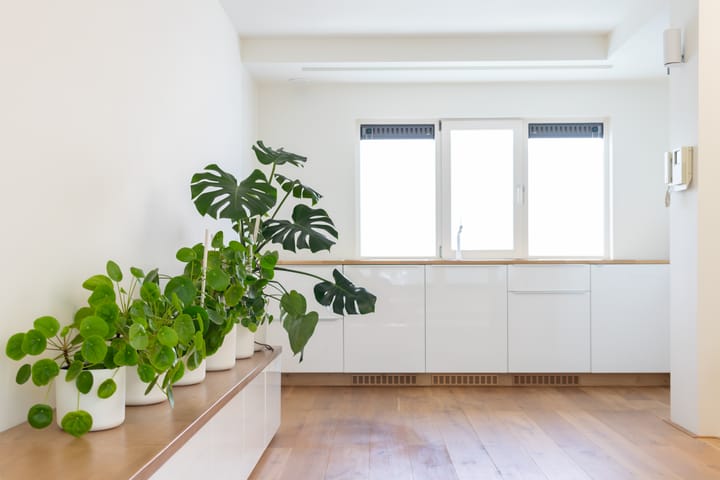 Photo 11 of Teilingerstraat 51-K