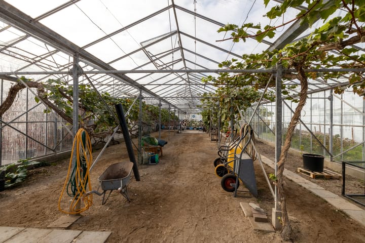 Foto 45 van Gantellaan 28