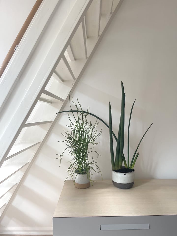 Foto 7 van Houthaak 28