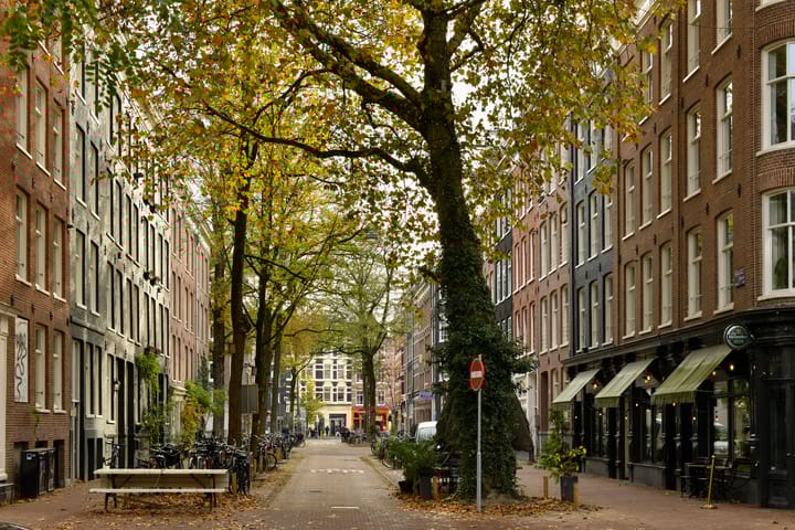 Foto 12 van Frans Halsstraat 75-2