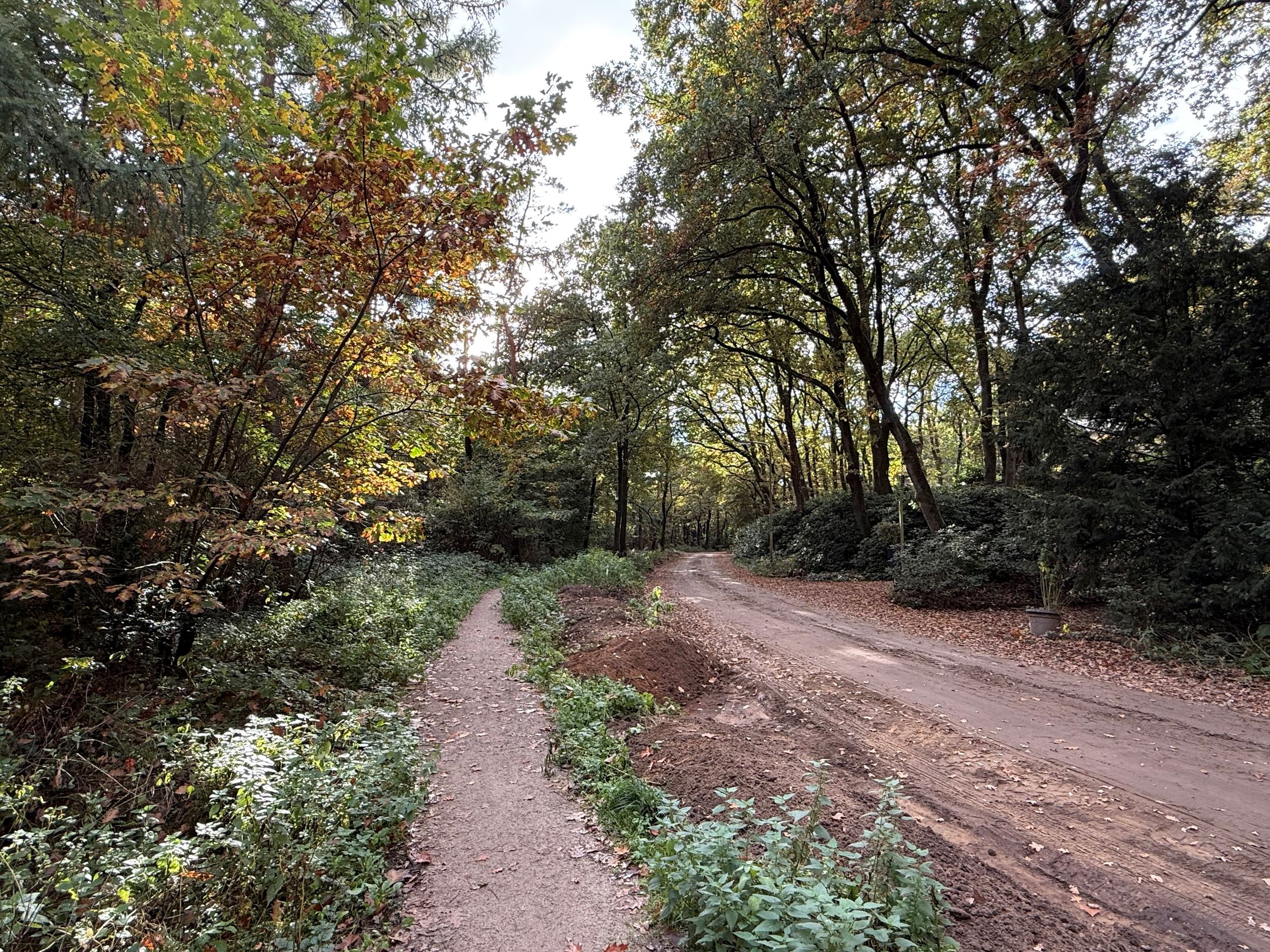 Foto 60 van Slingerlaan 15