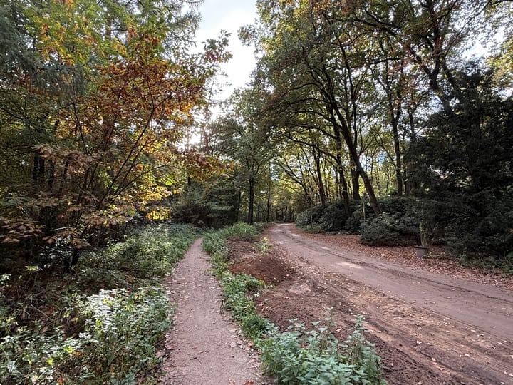 Photo 60 of Slingerlaan 15