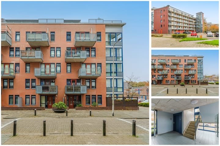 Photo 6 of Aquamarijn 8