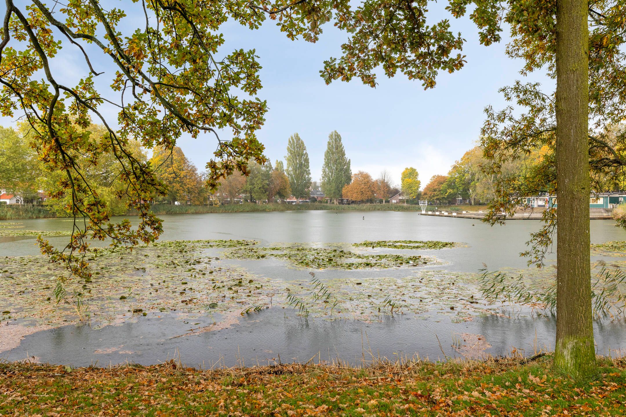 Foto 27 van Babcockstraat 12