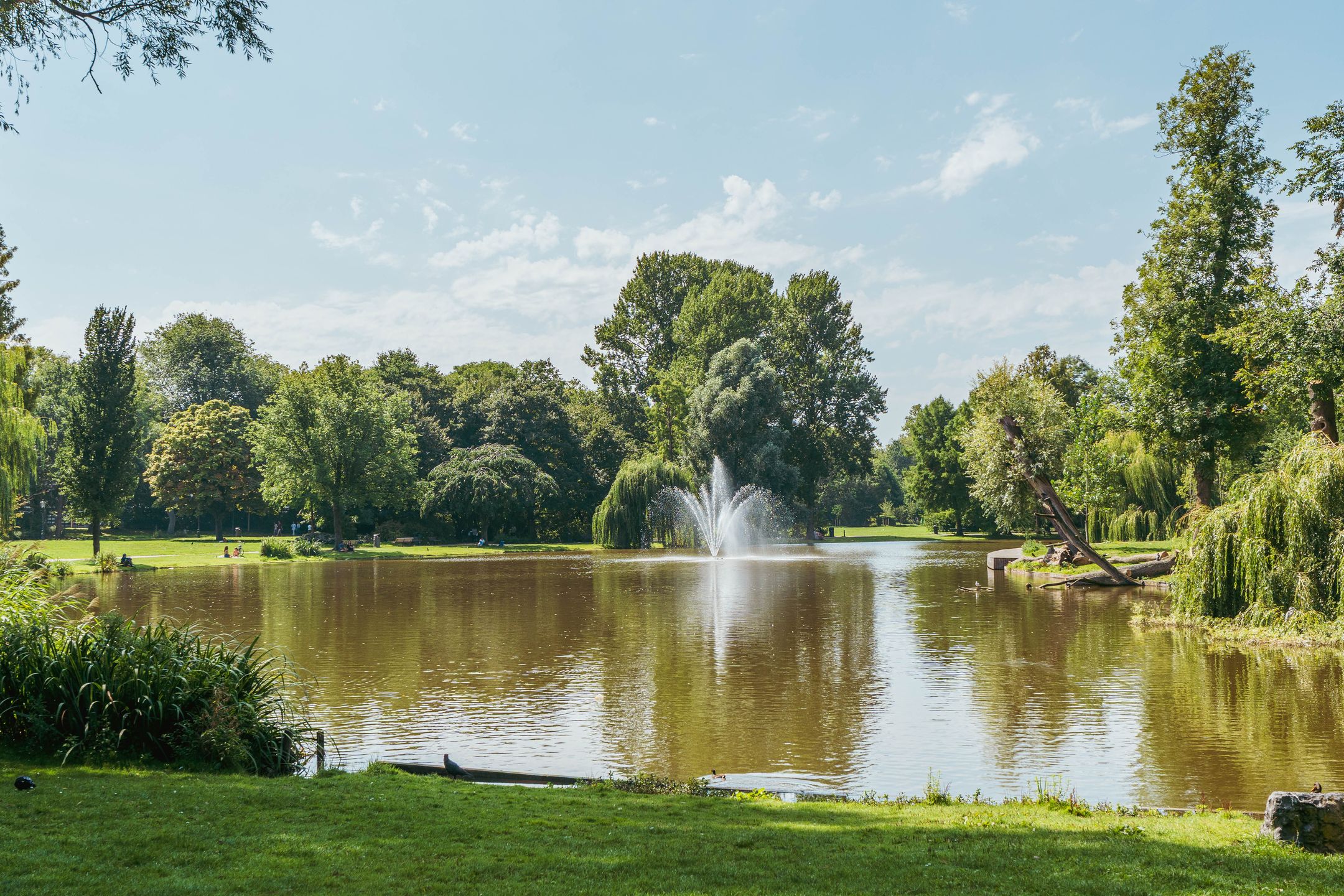 Photo 30 of Tweede Oosterparkstraat 39-B