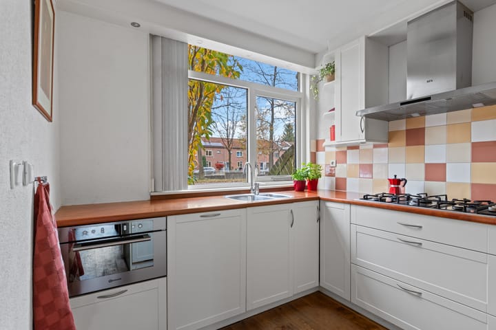 Foto 19 van Abraham Blankaartsingel 155