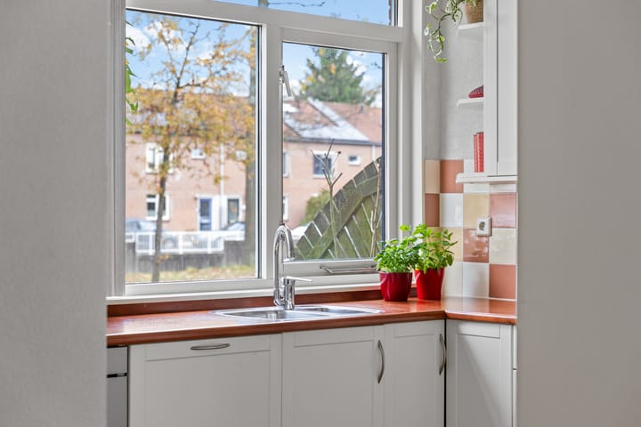 Foto 23 van Abraham Blankaartsingel 155