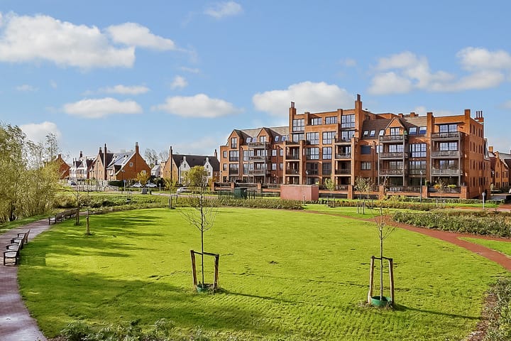 Thomas Morelaan 283 main image