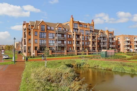 Thomas Morelaan 283 secondary image