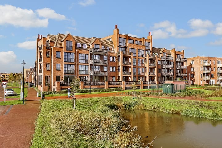 Foto 2 van Thomas Morelaan 283