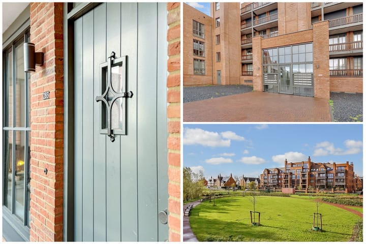 Foto 4 van Thomas Morelaan 283