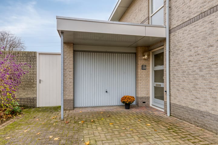 Photo 6 of Jonagold 13