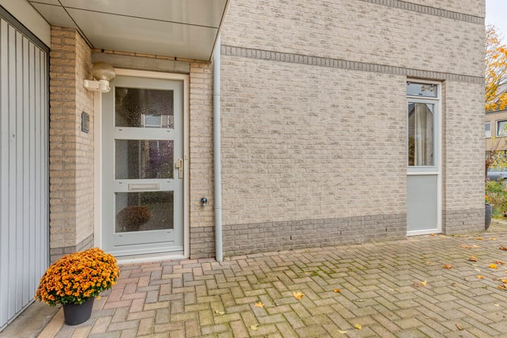 Photo 7 of Jonagold 13