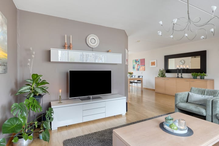 Photo 13 of Jonagold 13