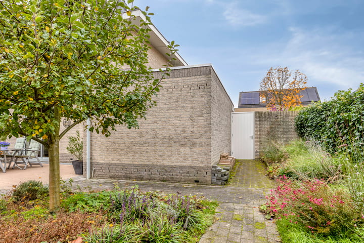 Photo 46 of Jonagold 13