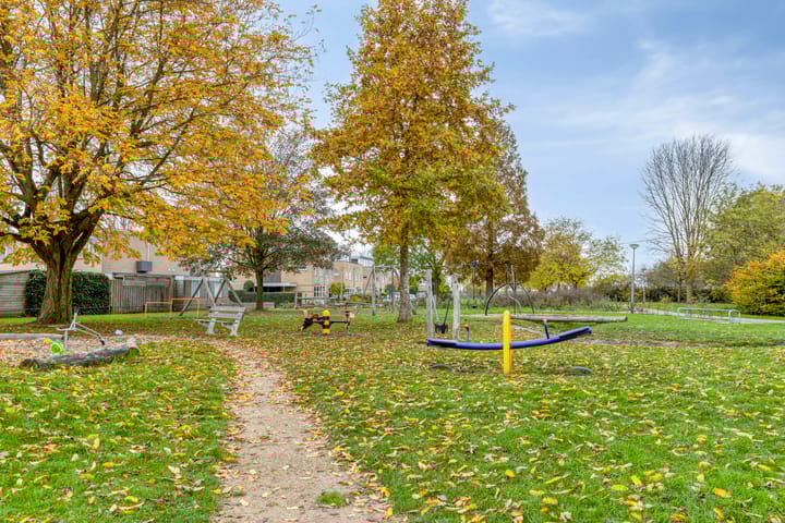 Photo 48 of Jonagold 13