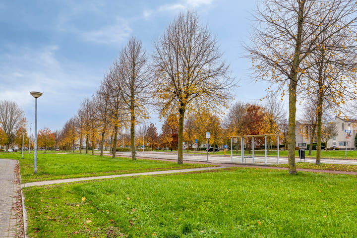 Photo 47 of Jonagold 13