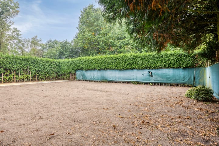 Foto 31 van Rustvenseweg 10