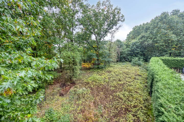 Foto 46 van Rustvenseweg 10