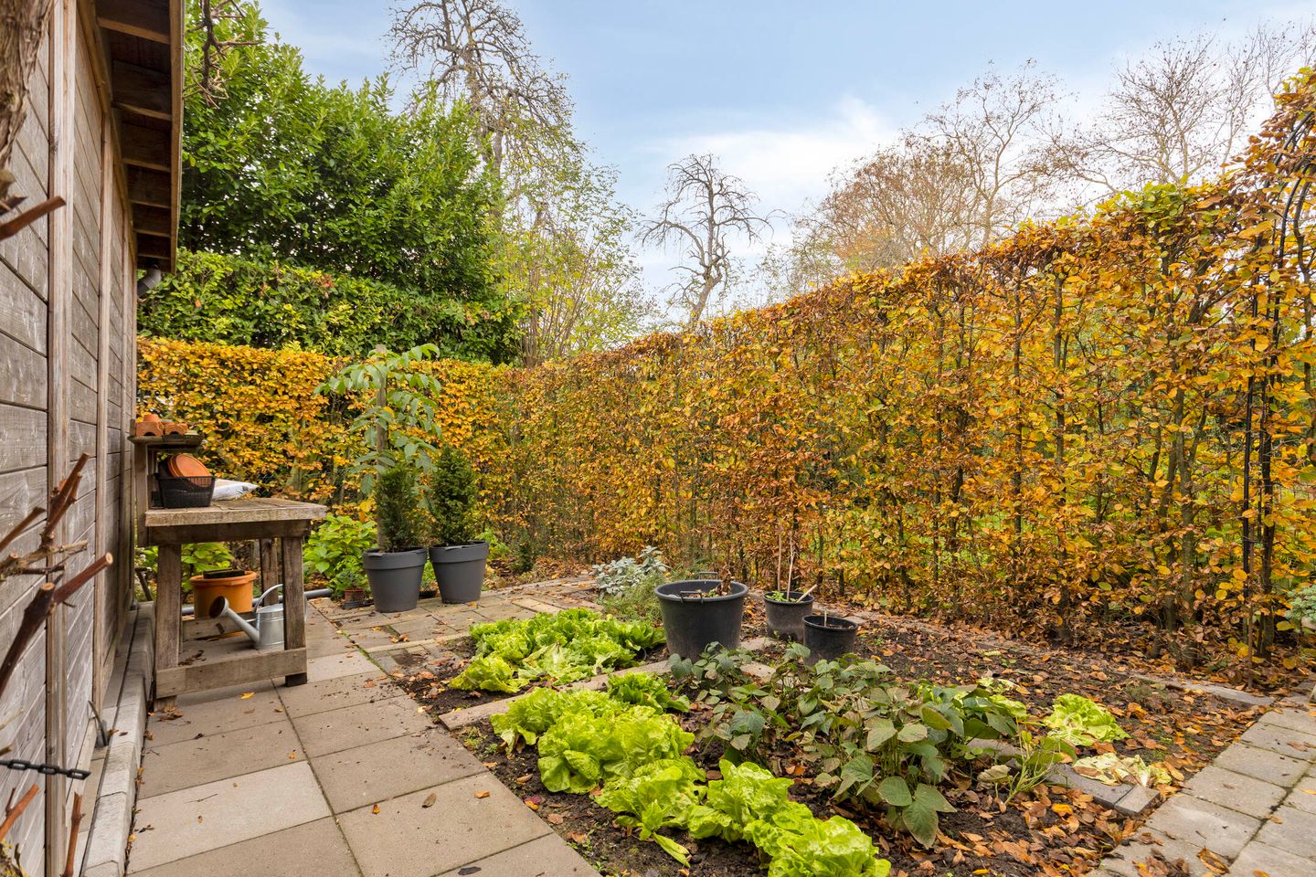 Photo 34 of Nassaustraat 6