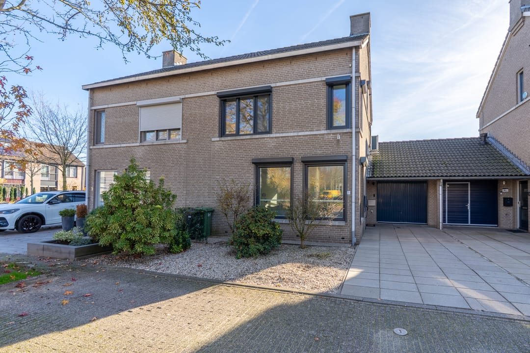 Foto 1 van Ridderspoor 3