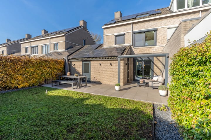 Foto 2 van Ridderspoor 3