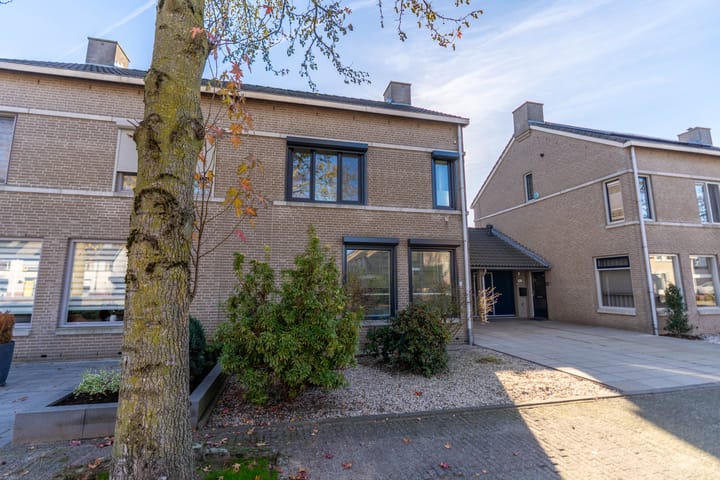 Foto 7 van Ridderspoor 3